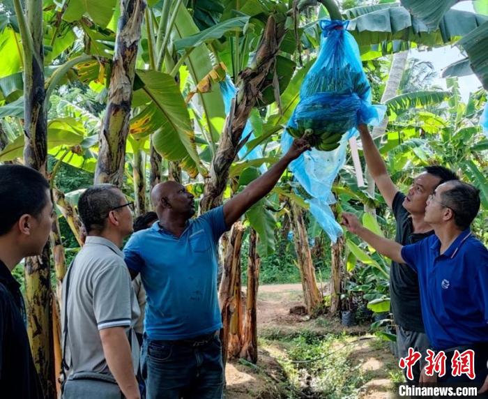 在金融危機(jī)國(guó)家助農(nóng)是什么體驗(yàn)？專訪“中國(guó)-FAO-斯里蘭卡南南合作”項(xiàng)目團(tuán)隊(duì)隊(duì)長(zhǎng)